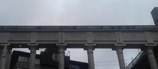 Homo sapiens non urinat in ventum